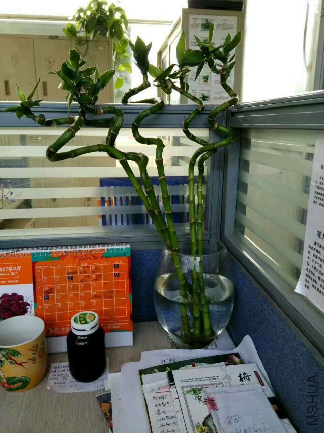΢��ͼƬ_20170408160832.jpg