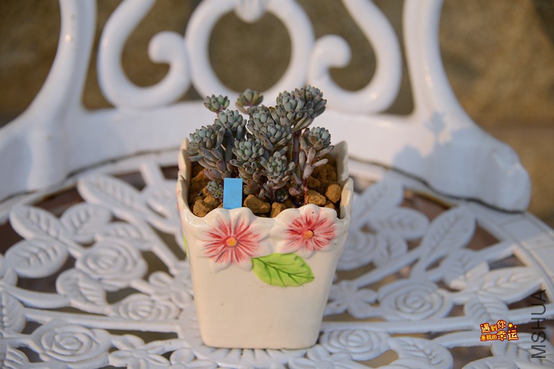 ��Ƭ 507_����.jpg