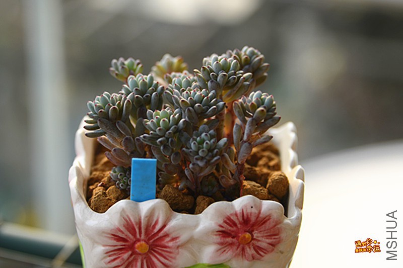 ��Ƭ 512_����.jpg