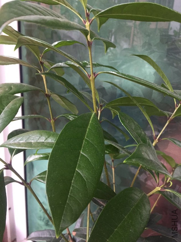 ΢��ͼƬ_20170406175740.jpg