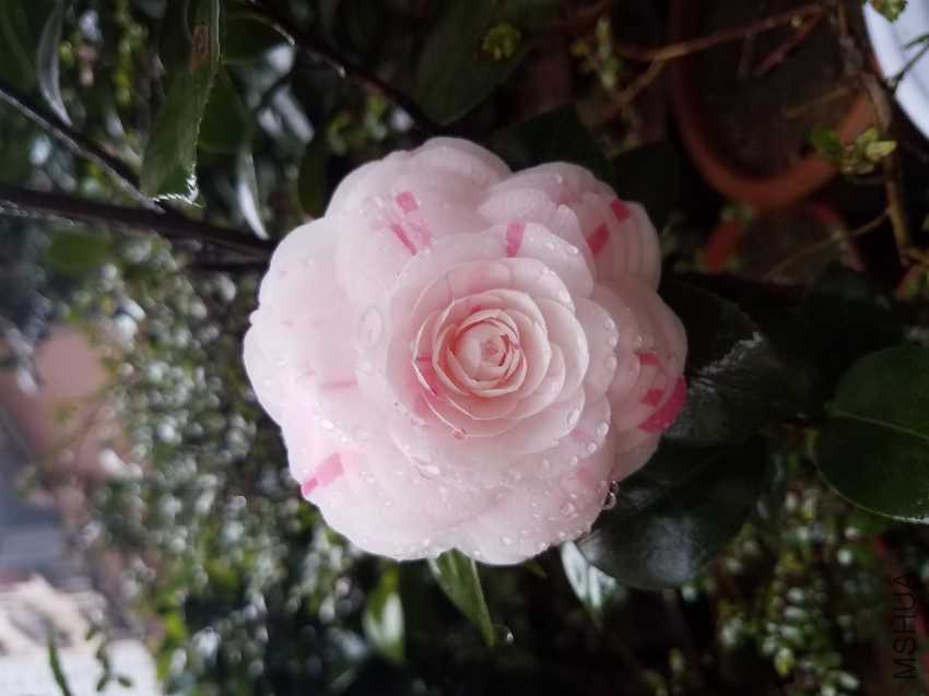 20170409_101046.jpg