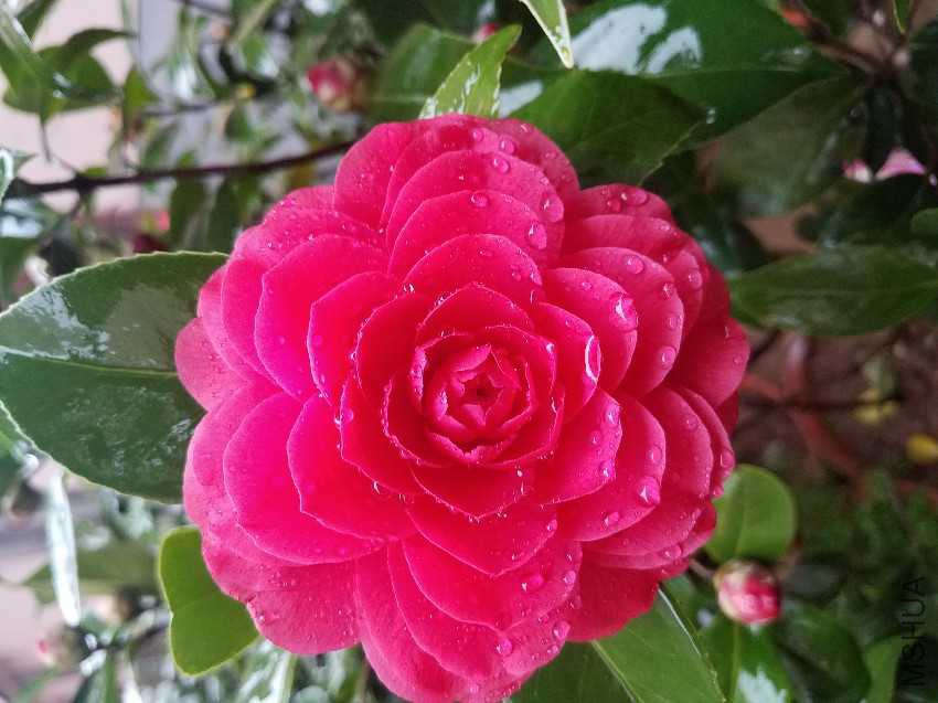 20170409_100901.jpg