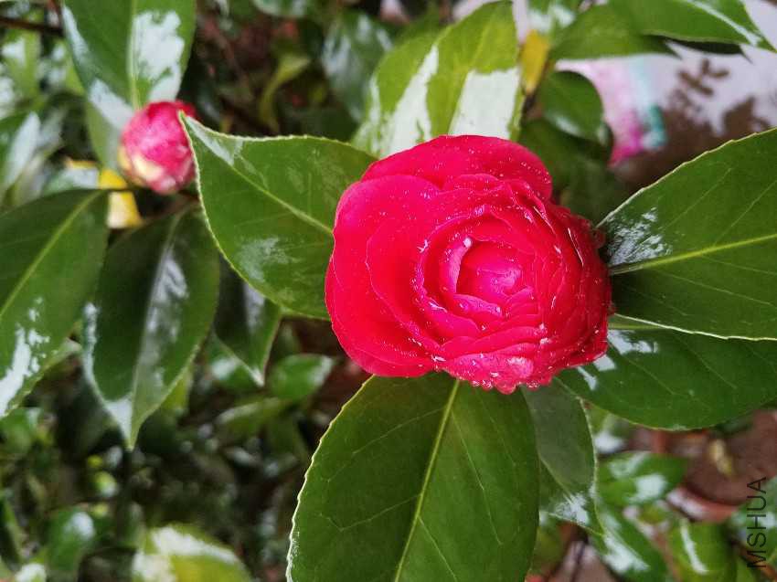20170409_100905.jpg