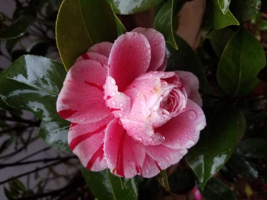 20170409_100853.jpg