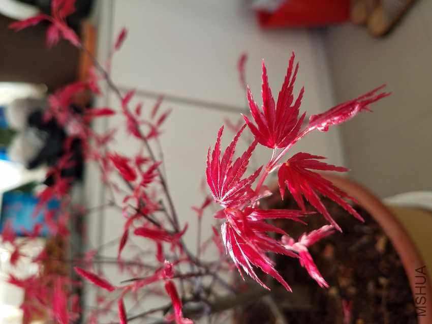 20170326_170140.jpg