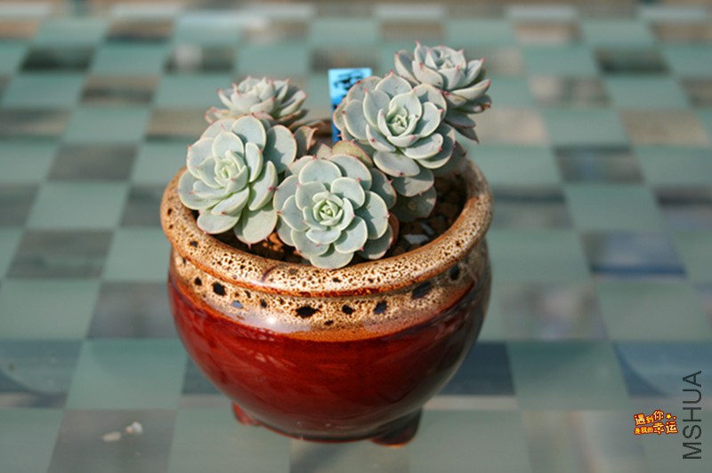 ��Ƭ 153_����.jpg