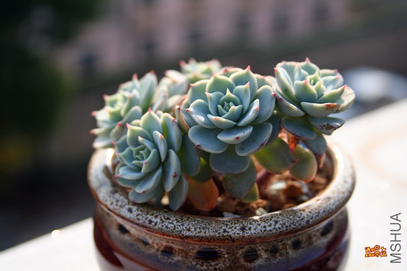 ��Ƭ 157_����.jpg