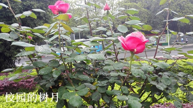 1-C����03.jpg