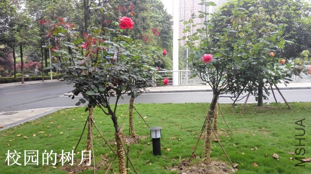 1-F����07.jpg