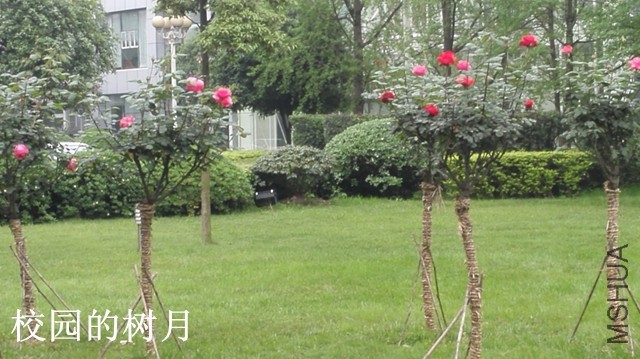 1-I����10.jpg