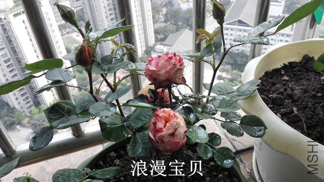 2-F��������01.jpg