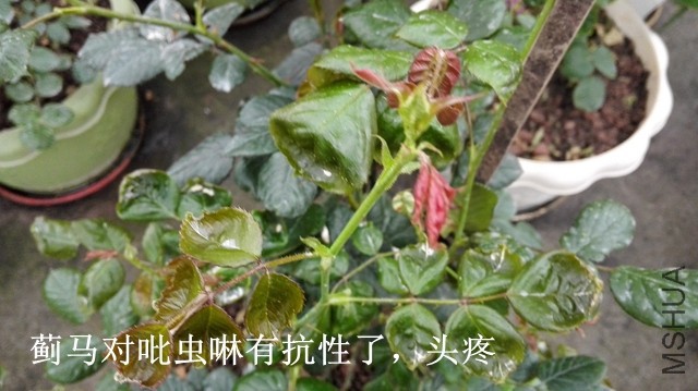 3-A����.jpg