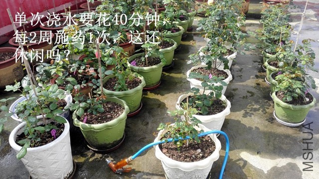 3-B��ˮ01.jpg