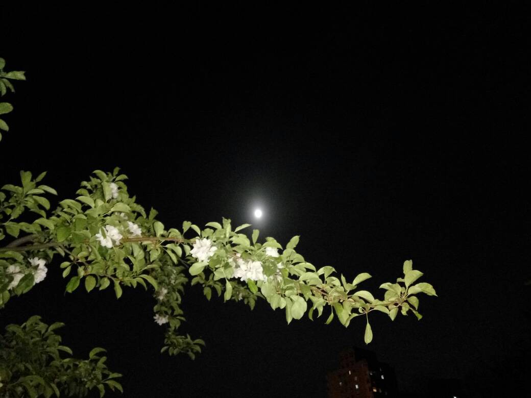 230908wurqsxiqiyukkxpu.jpg