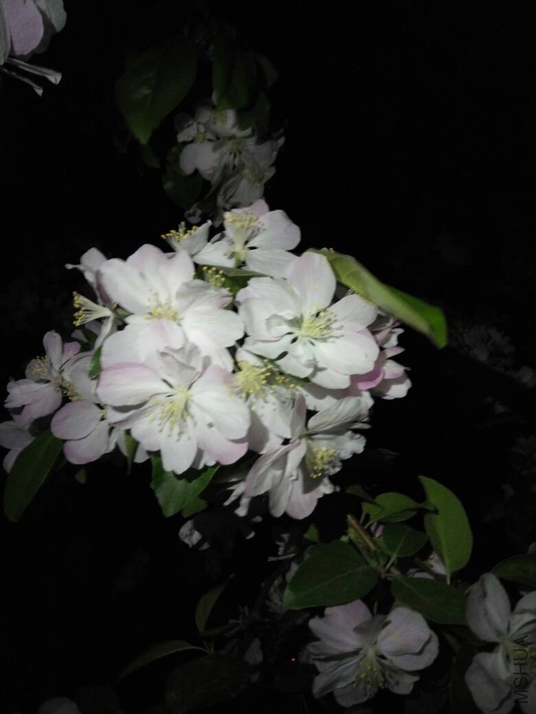 231014jmsbps4yxxkbym6e.jpg
