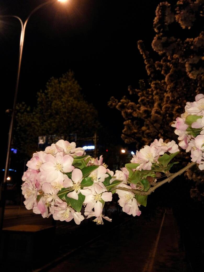231014w0e92qvhzdvbgzmu.jpg