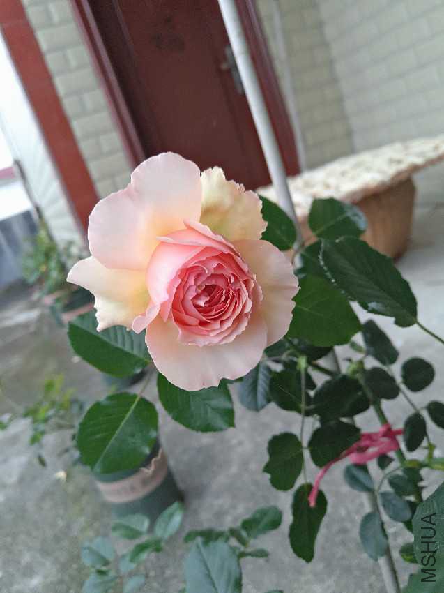 P70409-162944.jpg