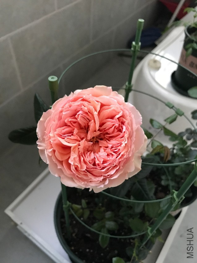����