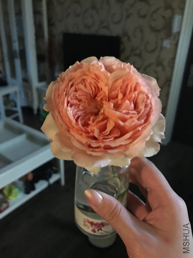 ����