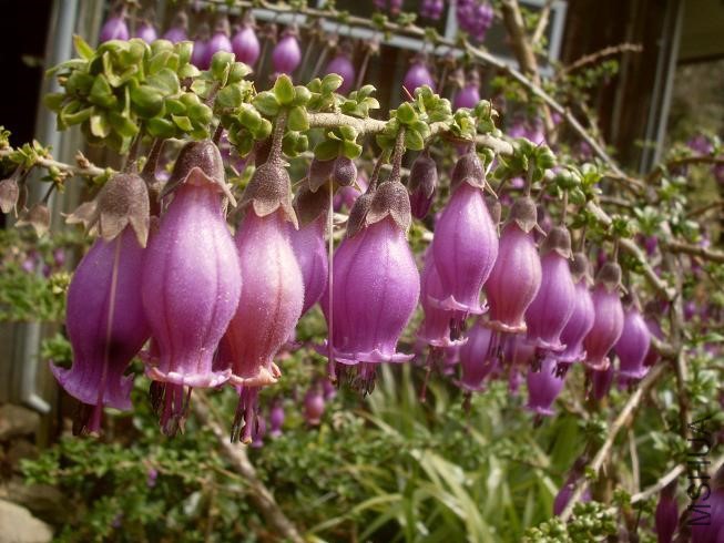 2010 September 407.JPG