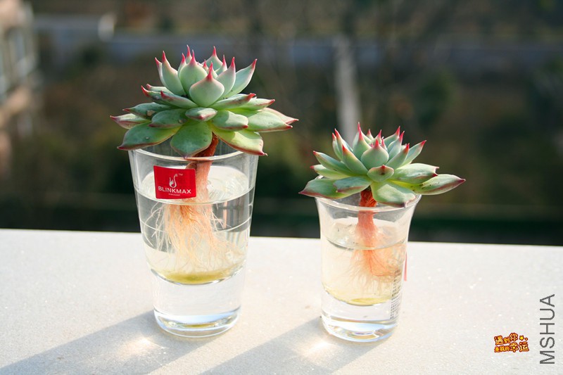 ��Ƭ 192_����.jpg