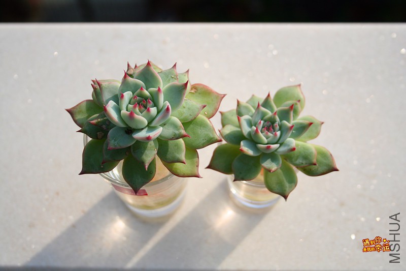 ��Ƭ 194_����.jpg