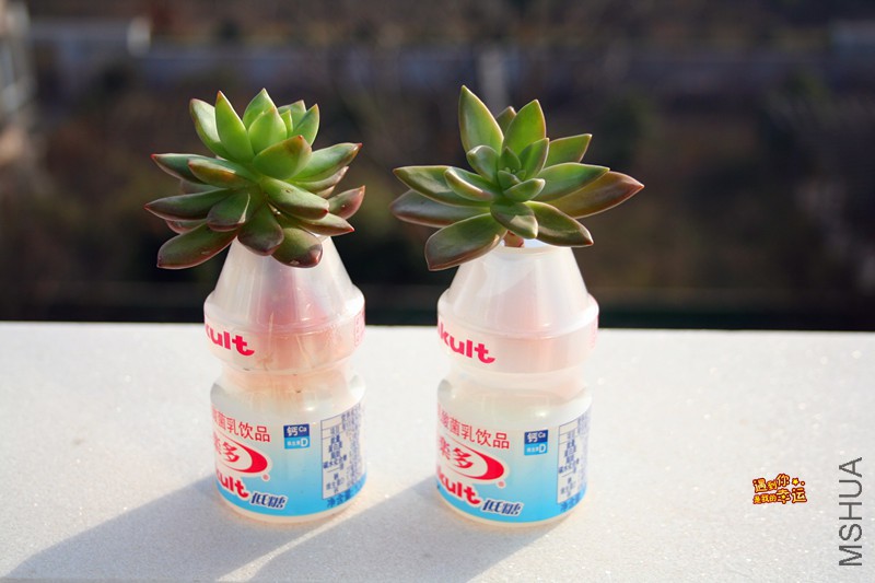 ��Ƭ 197_����.jpg