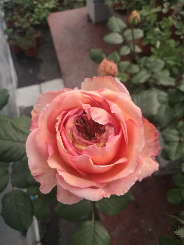 ��һ��