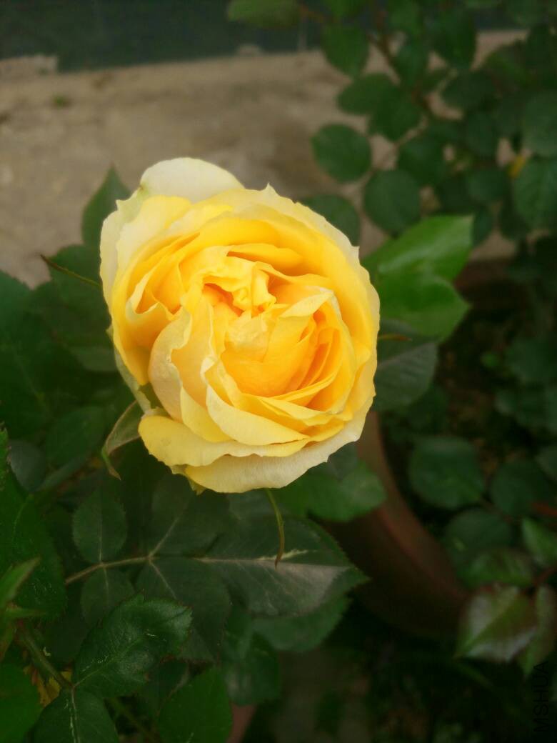 221023we5j2dfttmjx6tbf.jpg