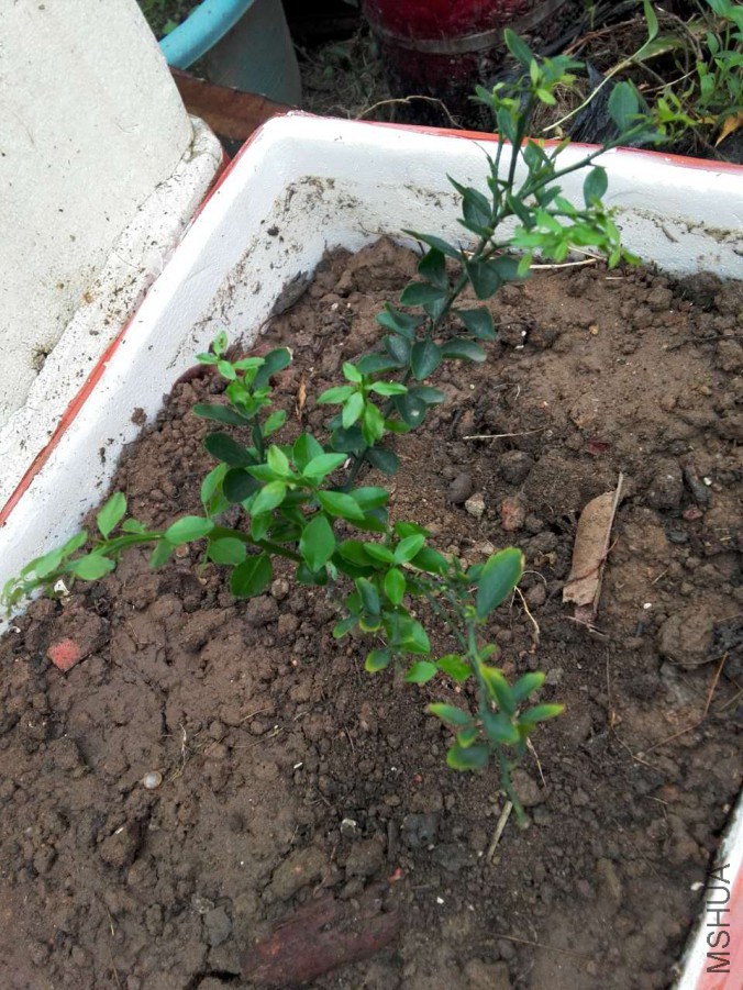 ΢��ͼƬ_20170411145057.jpg