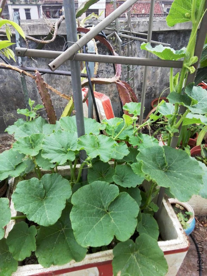 ΢��ͼƬ_20170411145433.jpg