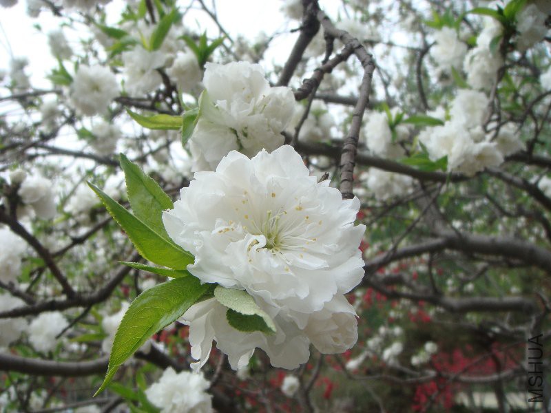 DSC08743.JPG