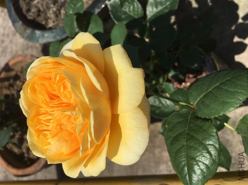 webwxgetmsgimg (3).jpg