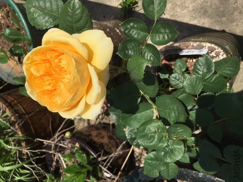 webwxgetmsgimg (7).jpg