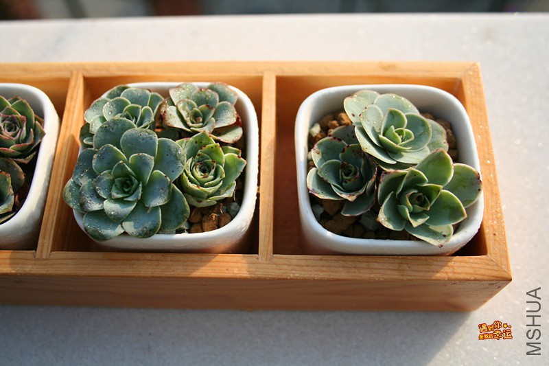 ��Ƭ 204_����.jpg