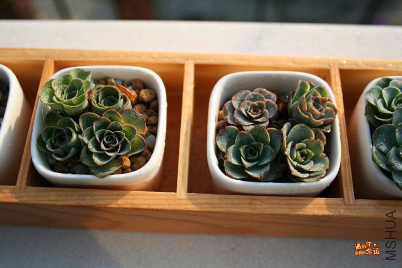 ��Ƭ 205_����.jpg