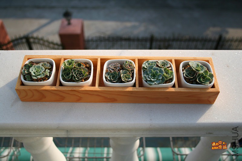 ��Ƭ 201_����.jpg