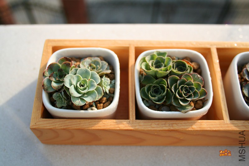 ��Ƭ 208_����.jpg