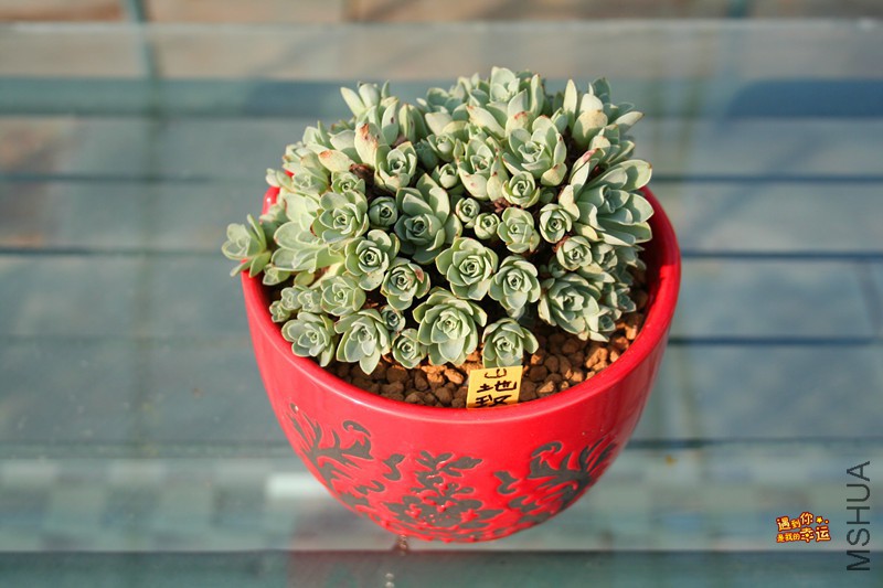 ��Ƭ 214_����.jpg