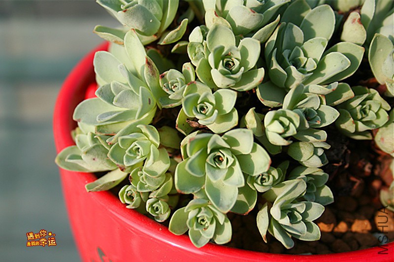 ��Ƭ 215_����.jpg