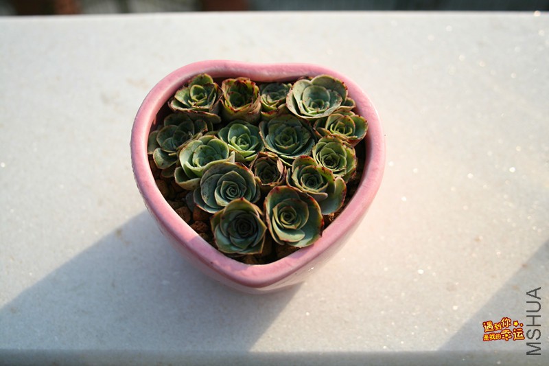 ��Ƭ 216_����.jpg