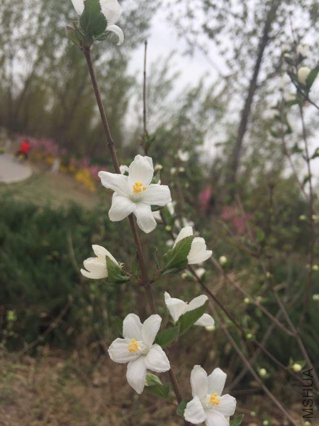 ΢��ͼƬ_20170411224305.jpg