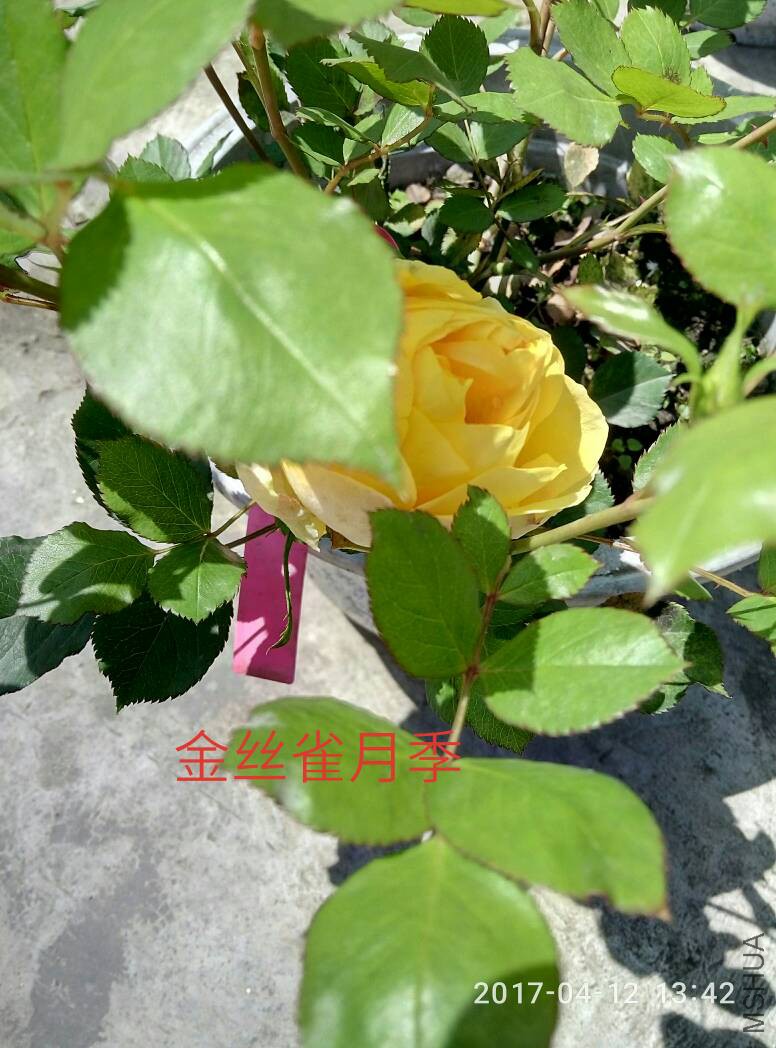 160343oppkb3vph7yijhjw.jpg