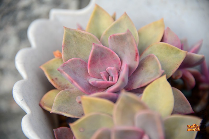 ��Ƭ 148_����.jpg