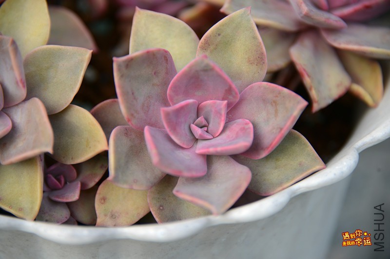 ��Ƭ 150_����.jpg