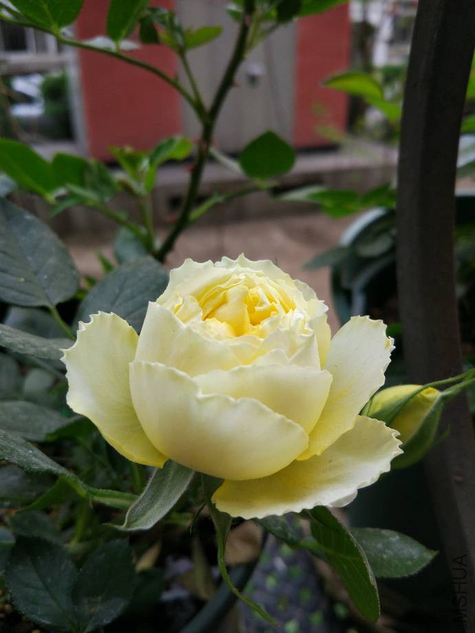 170211h6fhn88hyzdx6hed.jpg