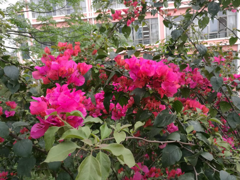 IMG_20170412_153533.jpg