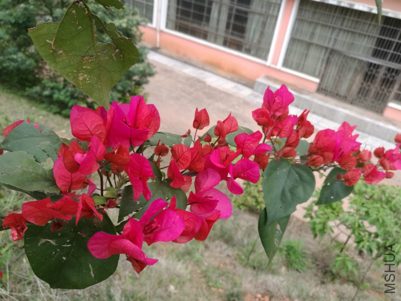 IMG_20170412_113330.jpg