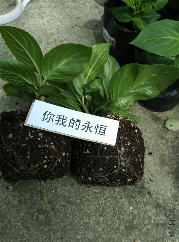18���ҵ������ϵ.jpg