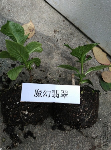 24ħ������ϵ.jpg